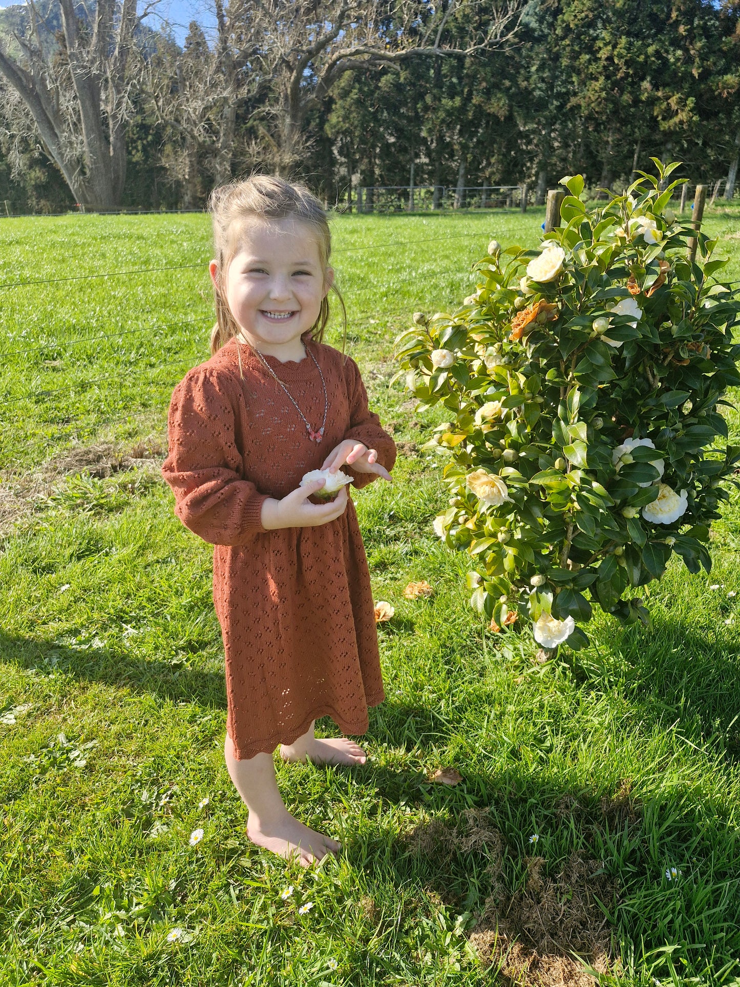 Pointelle Knitted Winter Dress